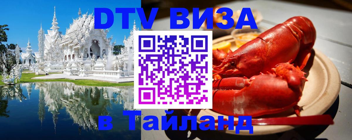 Оформление DTV визы под ключ: стоимость и тарифы, только загранпаспорт - 04.10.2025 
